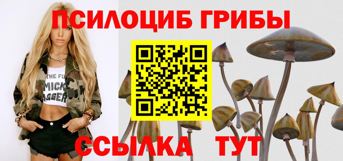 Псилоцибиновые грибы прущие грибы Рославль