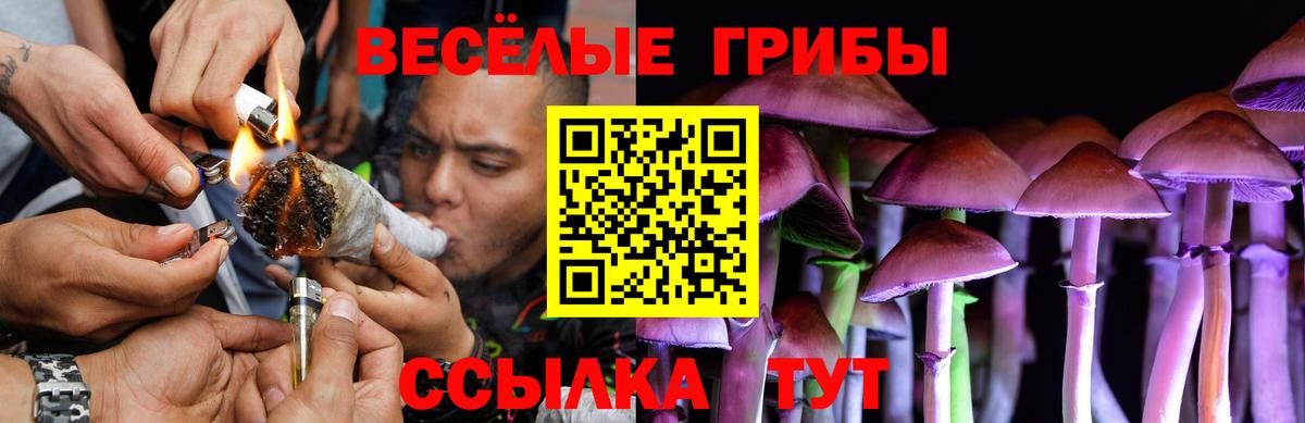 Рославль  купить  сайты  Вход с VPN  Галлюциногенные грибы ЛСД 